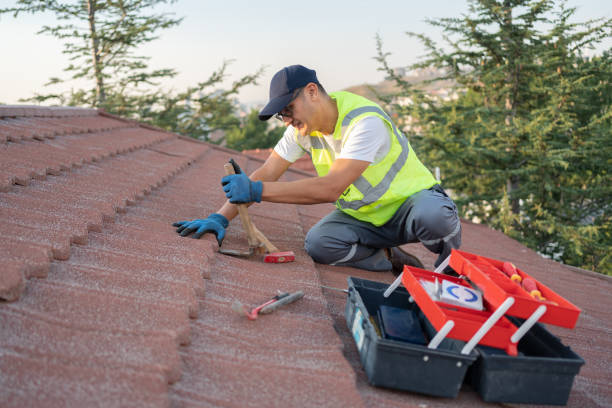 Quick and Trustworthy Emergency Roof Repair Services in La Joya, TX